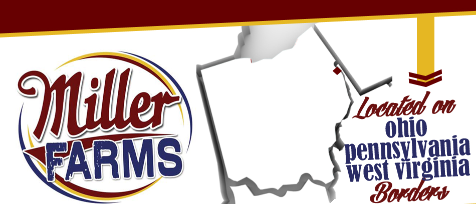 Miller Farms